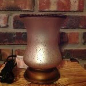 Scentsy wax warmer